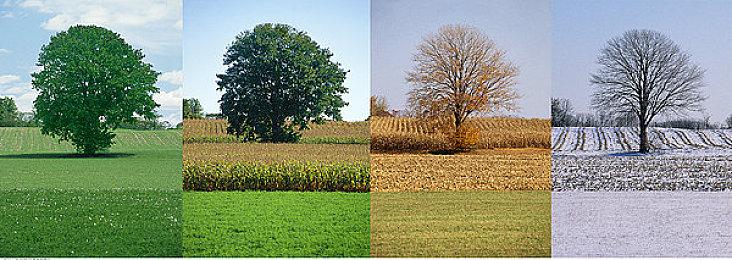 彭博社：《星球大战：旧共和国武士重制版》今年铁定不发售