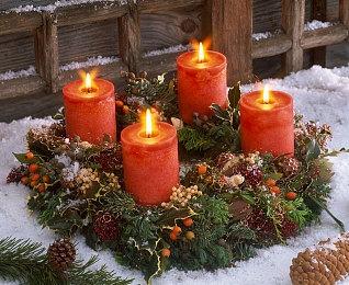 《东篱之下》多平台发售 治愈系自然建造体验